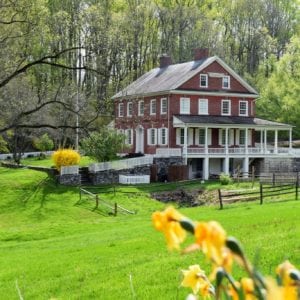 Rockford Plantation