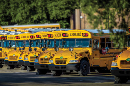 A long row of school buses parked side by side. 