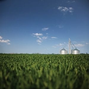 Silos in corn field